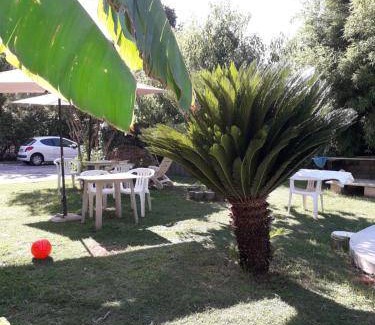 Villa Adriana Bed & Breakfast | 35 m² Bed and breakfast ∙ 4 guests