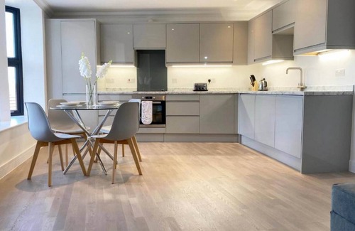 Rochester Apartment | 360 ME1 Sylvia Apts 04 - Modern Stylish 2 Bedroom 2 Bath Apt. 04 in Rochester