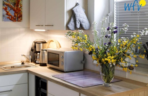 Seedorf Apartment | 37 m² Apartment ∙ 2 guests