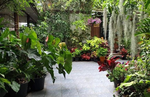 Talat Bang Khen House | 37 Nature House