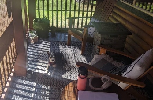 Al Tahoe Cabin | 3BD Pet-Friendly Log Cabin | Fast Wifi | Hot Tub | By Lake | Ski