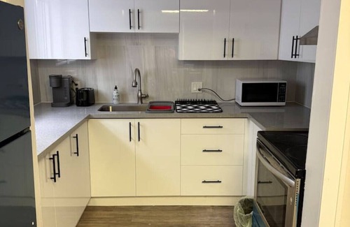Walkerville Apartment | 3bed Cozy Loft Retreat near Windsor-Detroit Tunnel