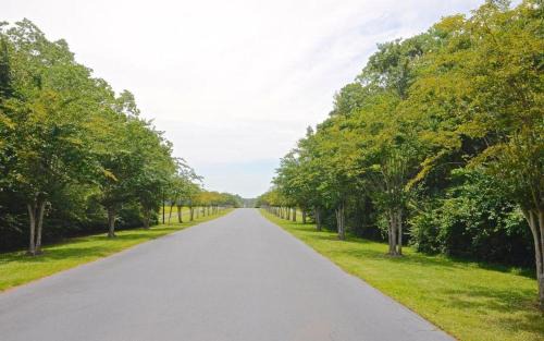 Gulf Shores House | 3br/2ba Full Condo w/Pool & Gym, Sleeps 7