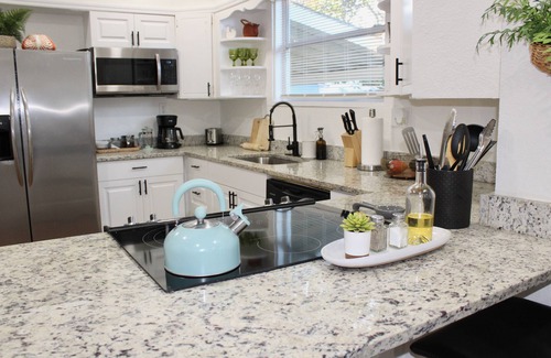 Ybor City House | 3BR Home in Ybor City- Pet friendly