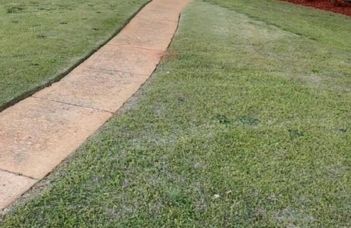 Skyland Park House | 4.4 miles to the Bryant-Denny Stadium