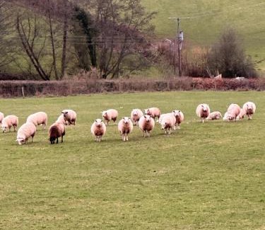 Usk House | 4 beautiful stone built barns sleeping 17 people