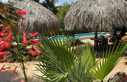 Opal House | 4 Bed Luxury Villa , Private Pool, Short Walk To Ritz And Marriott Beach !
