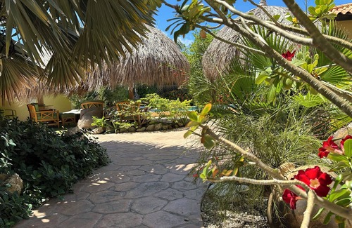 Opal House | 4 Bed Luxury Villa , Private Pool, Short Walk To Ritz And Marriott Beach !