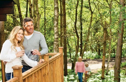 Edwinstowe Cabin | 4 bedroom accommodation in Sherwood Forest, Rufford