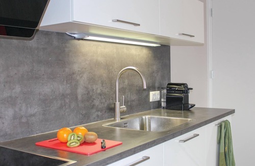 Idskenhuizen House | 4 bedroom amazing home in Idskenhuizen