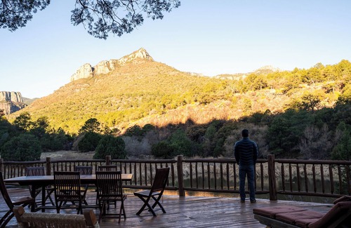 Ocampo Cabin | 4-bedroom charm cabin in a sanctuary of biodiversity and conservation
