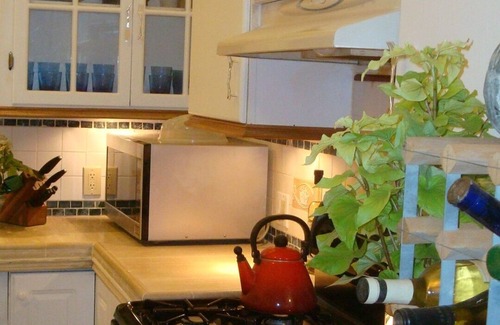 Washington - Guadalupe Condo | 4-bedroom condo in lovely San Jose with AC