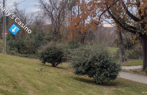 Vicksburg House | 4-bedroom house in historic Vicksburg with AC, WiFi, Pet friendly.