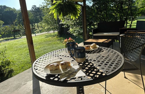Lynchburg House | 4-bedroom house in marvelous Lynchburg with private inground pool and sauna