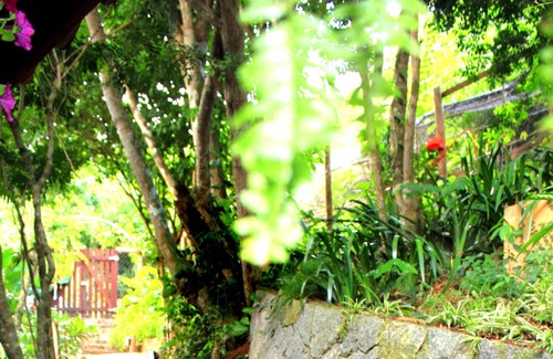 Parque Estadual da Costa do Sol House | 4 Bedroom Luxury Oceanfront Villa W/ Pool And Pond 'Present Moment'