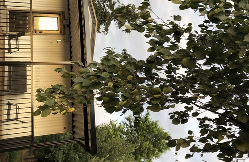 Abbotsford Cabin | 4 bedroom modern farmhouse