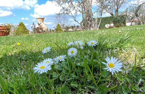 Mirabella Eclano Villa | 4 Bedroom Villa in Campania