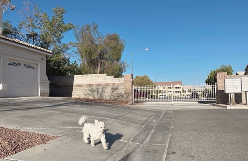 Rhodes Ranch House | 4 BR centrally located House - 10 Minutes From The Strip