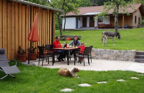 Nittenau Apartment | 4*-Ferienwohnung im Oberpfälzer Wald mit großer Terrasse im Grünen