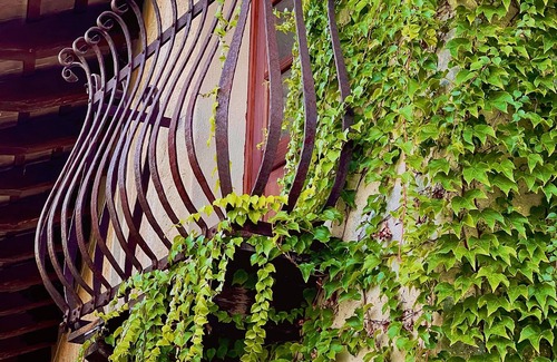 Strassoldo House | 4-Magnificent Rice Mill in a Castle with Park near the Sea, 1h from Venice