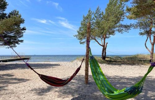 Gotlands Tofta House | 4 person holiday home in KLINTEHAMN-By Traum