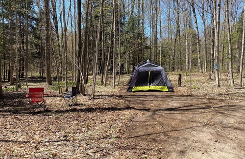 Benzonia RV Rental | #4 Private Wooded Campsite for Tents or Small RV's