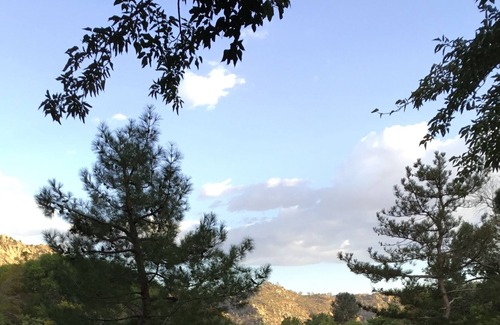 Alta Sierra House | 4-Seasons Mountain House with Hot Tub & Patio + Giant Trees everywhere!