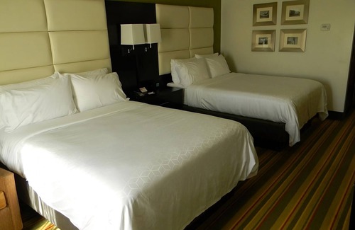 Madison Hotel | 4 Stylish Units for Business Travel, Breakfast, Park