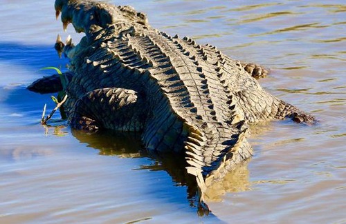 St. Lucia Apartment | 4 The Bridge