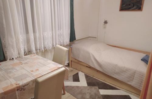 Jozsef Attila-lakotelep Apartment | 4 turtles apartman