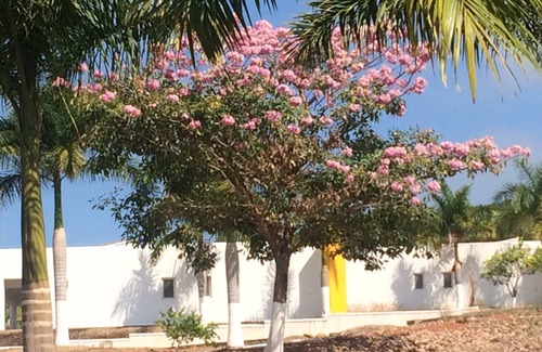 Santa Cruz House | #4 Villa Shared Pool & Spa, 3 Bedrooms/2 Bath, Private Beach Ramada