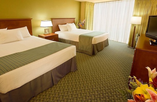 Laughlin Hotel | 4 x Panorama Room - 2 Queens at Aquarius Casino Resort