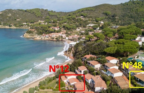 Biodola Apartment | 40 m² Apartment ∙ 1 bedroom ∙ 4 guests