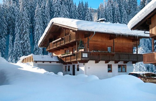 Wildschoenau Apartment | 40 m² Apartment ∙ 2 bedrooms ∙ 5 guests