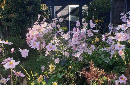Whangamata Bed & Breakfast | 40 m² Bed and breakfast ∙ 2 guests