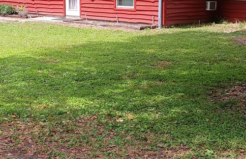 Sorrento House | 40 minutes to Disney...straight down Sr 417....near Mt Dora and Eustis..