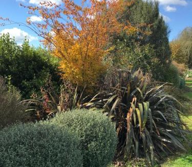 Otorohanga Bed & Breakfast | 40 Winks