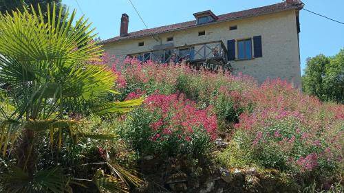 Saint-Cirq-Lapopie Bed & Breakfast | 42 m² Bed and breakfast ∙ 4 guests