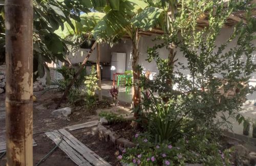 Vista Alegre House | 420 Route's Backpackers