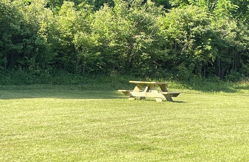 Wayne County Apartment | 420 Friendly secluded getaway - pets welcome