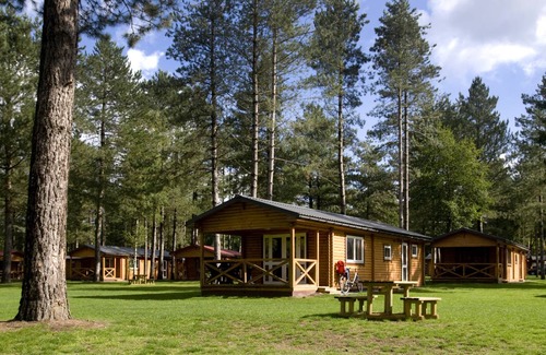 Zutendaal Ski Chalet | 43 m² Chalet ∙ 2 bedrooms ∙ 4 guests