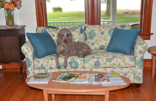 Amagansett North Bed & Breakfast | 434 on Main