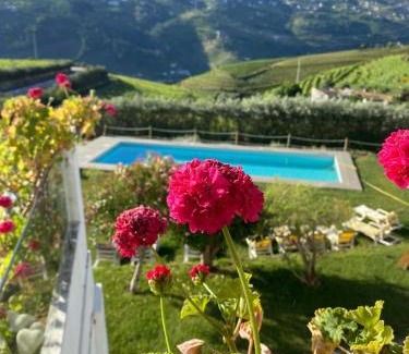 Mesao Frio House | 44House - Quinta do Casal
