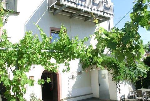 Neumagen-Dhron Apartment | 45 m² Apartment ∙ 1 bedroom ∙ 2 guests