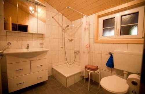 Hasliberg Apartment | 45 Zimmer Ferienwohnung Hofstatthaus
