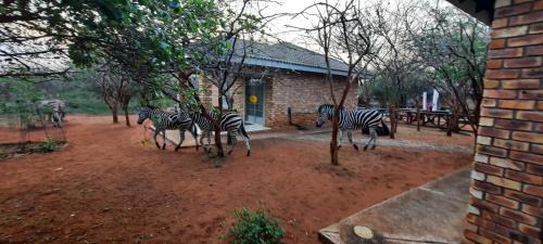 Marloth Park Apartment | 462 Bosbok Chalets