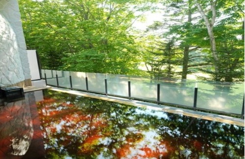 Kitahiroshima Hotel | 47 m² Hotel ∙ 1 bedroom ∙ 3 guests