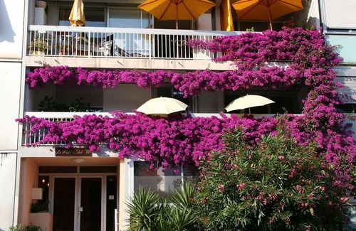 La Californie Apartment | 48 m² Apartment ∙ 1 bedroom ∙ 4 guests