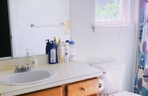 Mitchell House | 4br house near Stadium/UM/hospital/downtown