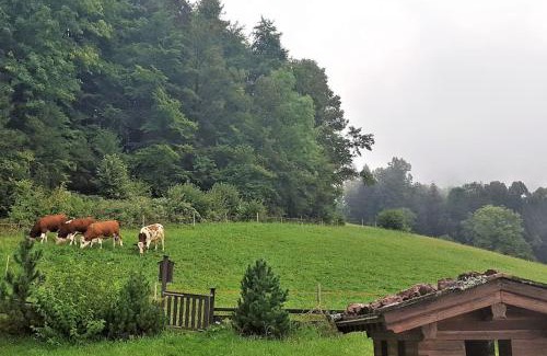 Schoenau am Koenigssee Apartment | 5 Bergpanorama und herrliche alpinen Almlandschaft für absolute Nichtraucher